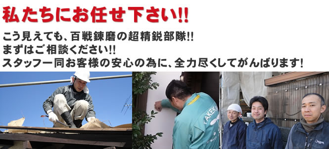 わたしたちにお任せください